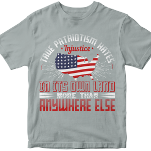 True patriotism hates injustice in its own land more than anywhere else