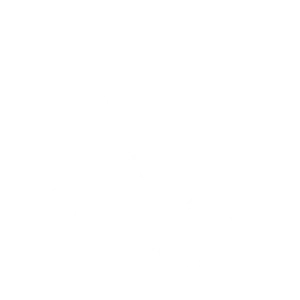 Tricou Print Cars and Trucks #005