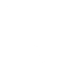 Tricou Print Cars and Trucks #013
