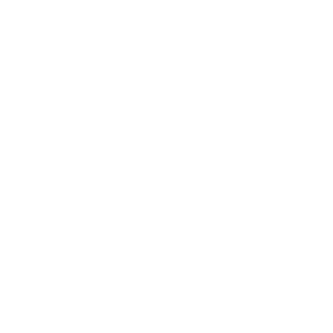 Tricou Print Cars and Trucks #041