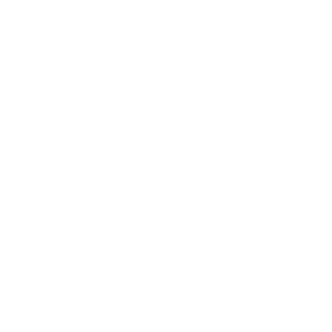 Tricou Print Cars and Trucks #041
