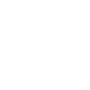 Tricou Print Cats #048