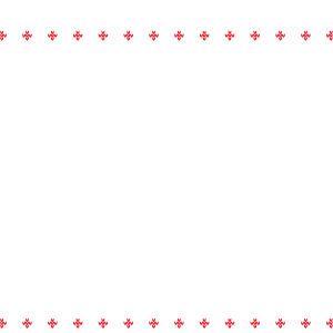 Tricou Print Christmas #025