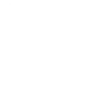 Tricou Print Dad #025