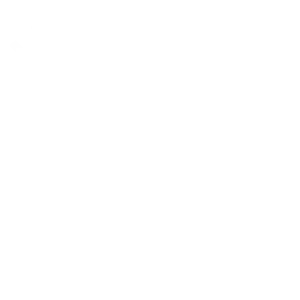 Tricou Print Dogs #001