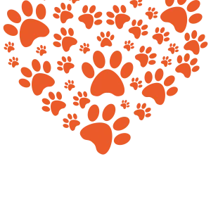 Tricou Print Dogs #004