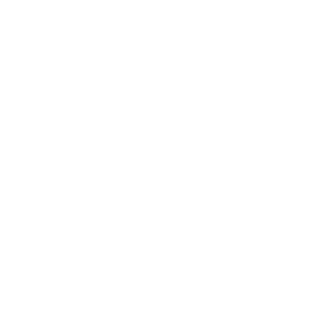 Tricou Print Dogs #005