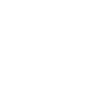 Tricou Print Dogs #007