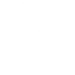 Tricou Print Dogs #013