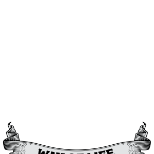 Tricou Print Fishing #045