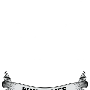 Tricou Print Fishing #045