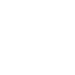 Tricou Print Fourth of July #034