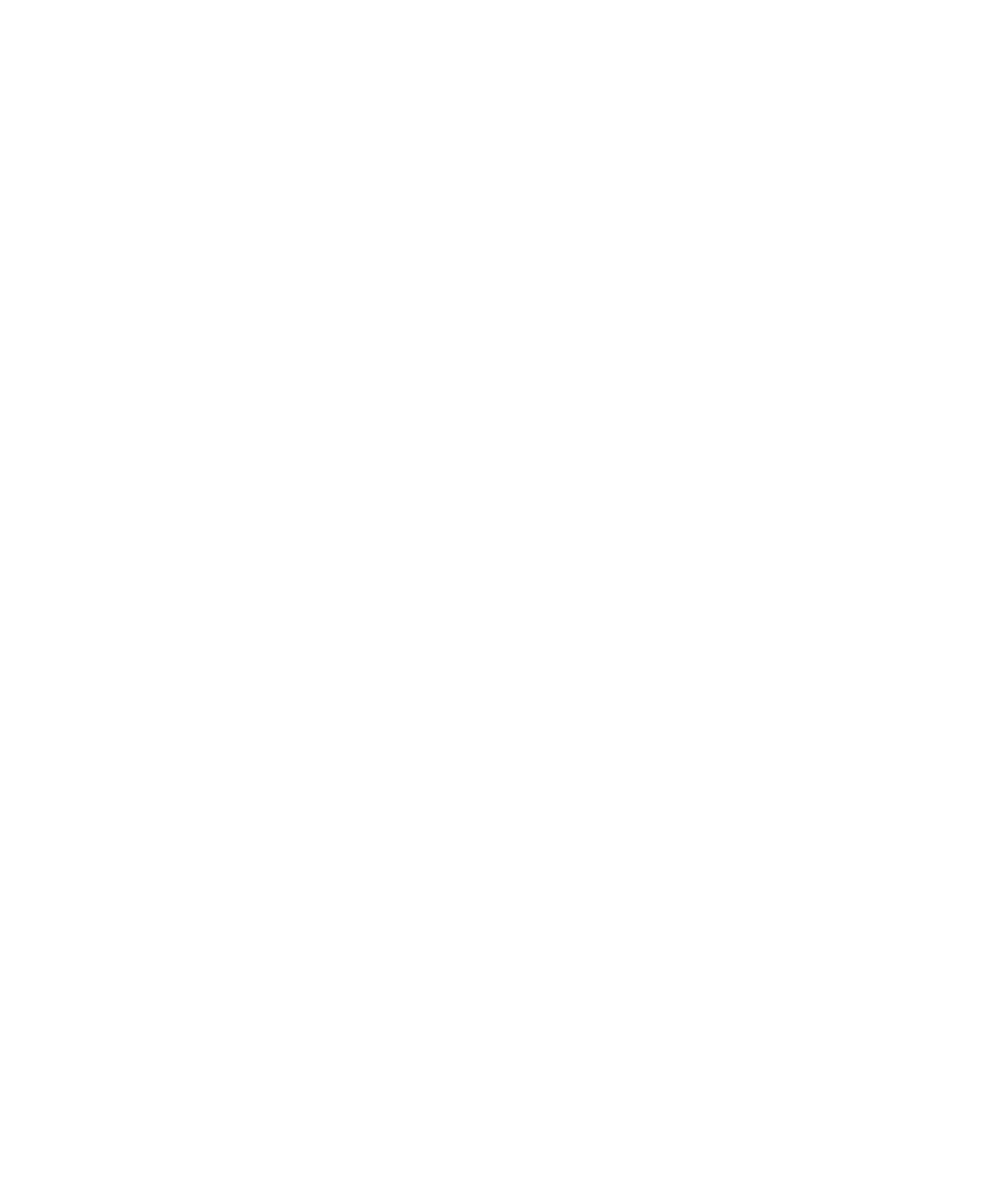 Tricou Print Fourth of July #034
