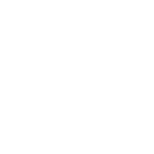 Tricou Print Gym #044