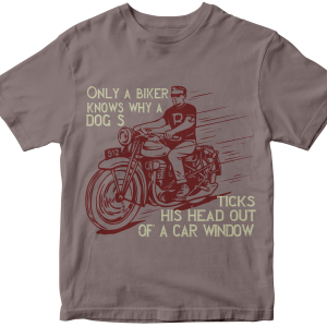 Only a biker knows why a dog sticks his head out of a car window