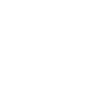Tricou Print Vegan #002