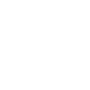 Tricou Print Vegan #035