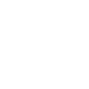 Tricou Print Vegan #049