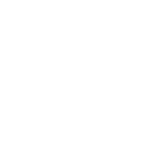 Tricou Print Veteran #059