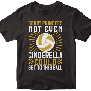 Sorry princess, not even Cinderella could get to this ball